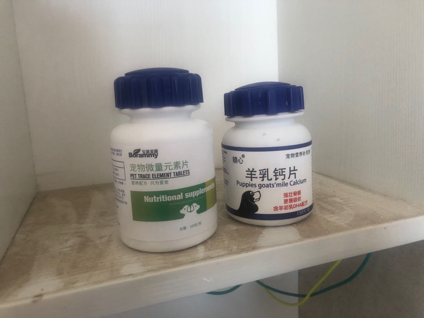 狗狗的药